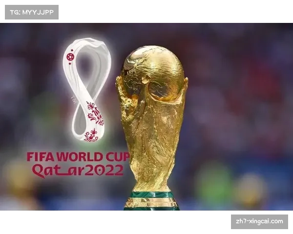 重温激情岁月2006和2010世界杯全场精彩录像回放回顾足球盛宴